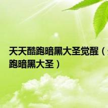 天天酷跑暗黑大圣觉醒（天天酷跑暗黑大圣）