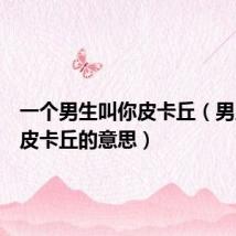 一个男生叫你皮卡丘（男人叫你皮卡丘的意思）