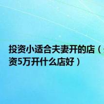 投资小适合夫妻开的店(夫妻投资5万开什么店好)
