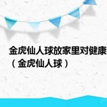 金虎仙人球放家里对健康的影响(金虎仙人球)