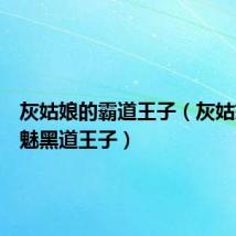 灰姑娘的霸道王子(灰姑娘的邪魅黑道王子)