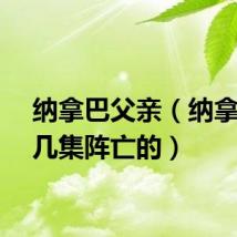 纳拿巴父亲（纳拿巴第几集阵亡的）