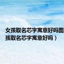 女孩取名芯字寓意好吗图片（女孩取名芯字寓意好吗）