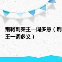 荆轲刺秦王一词多意（荆轲刺秦王一词多义）