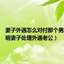 妻子外遇怎么对付那个男的（聪明妻子处理外遇老公）