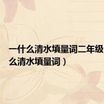 一什么清水填量词二年级（一什么清水填量词）