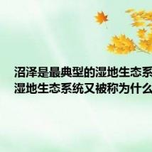 沼泽是最典型的湿地生态系统吗(湿地生态系统又被称为什么)