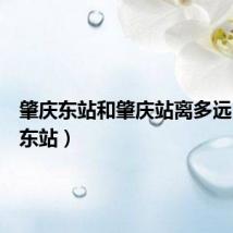 肇庆东站和肇庆站离多远（肇庆东站）