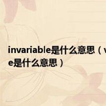 invariable是什么意思（variable是什么意思）