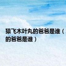 猿飞木叶丸的爸爸是谁（木叶丸的爸爸是谁）