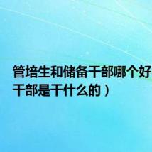 管培生和储备干部哪个好（储备干部是干什么的）