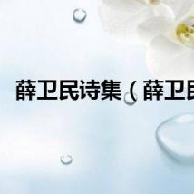 薛卫民诗集（薛卫民）