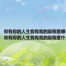 你有你的人生我有我的旅程是哪一首歌（你有你的人生我有我的旅程是什么歌）