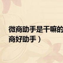 微商助手是干嘛的（微商好助手）