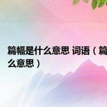篇幅是什么意思 词语（篇幅是什么意思）
