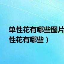 单性花有哪些图片（单性花有哪些）