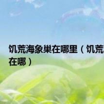 饥荒海象巢在哪里（饥荒海象巢在哪）