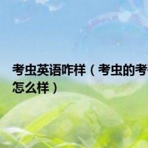 考虫英语咋样（考虫的考研英语怎么样）