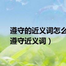 遵守的近义词怎么写（遵守近义词）