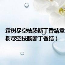 霜树尽空枝肠断丁香结意思（霜树尽空枝肠断丁香结）