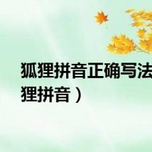 狐狸拼音正确写法（狐狸拼音）