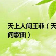 天上人间王菲（天上人间歌曲）