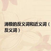 消极的反义词和近义词（消极的反义词）