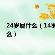24岁属什么（14岁属什么）