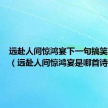 远赴人间惊鸿宴下一句搞笑怎么接（远赴人间惊鸿宴是哪首诗）