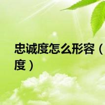 忠诚度怎么形容（忠诚度）