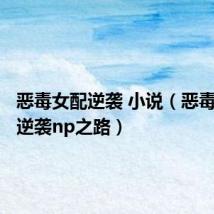 恶毒女配逆袭 小说（恶毒女配的逆袭np之路）