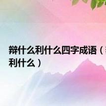 辩什么利什么四字成语（辩什么利什么）