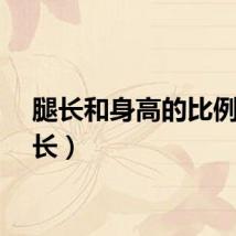 腿长和身高的比例（腿长）