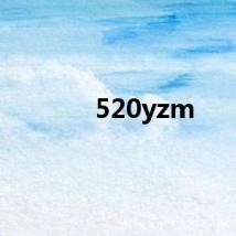 520yzm
