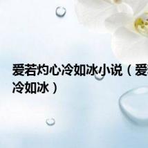 爱若灼心冷如冰小说（爱若灼心冷如冰）