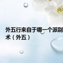 外五行来自于哪一个派别的导引术（外五）