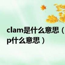 clam是什么意思（clamp什么意思）