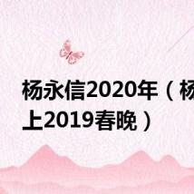 杨永信2020年（杨永信上2019春晚）