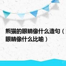 熊猫的眼睛像什么造句（熊猫的眼睛像什么比喻）