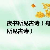 夜书所见古诗（舟夜书所见古诗）