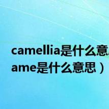 camellia是什么意思（came是什么意思）