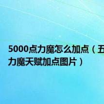 5000点力魔怎么加点（五转900力魔天赋加点图片）