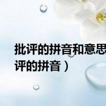 批评的拼音和意思（批评的拼音）