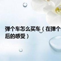 弹个车怎么买车（在弹个车买车后的感受）
