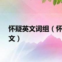 怀疑英文词组（怀疑英文）