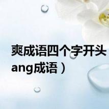 爽成语四个字开头（shuang成语）