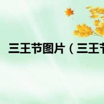 三王节图片（三王节）