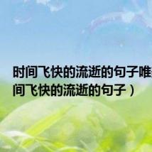 时间飞快的流逝的句子唯美（时间飞快的流逝的句子）