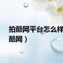 拍酷网平台怎么样（拍酷网）