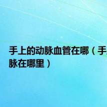 手上的动脉血管在哪（手上的动脉在哪里）